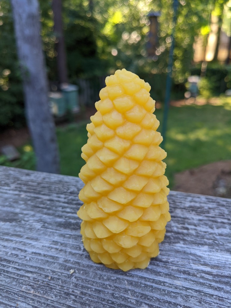 Pinecone beeswax candle