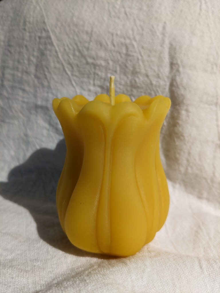 Tulip beeswax candle